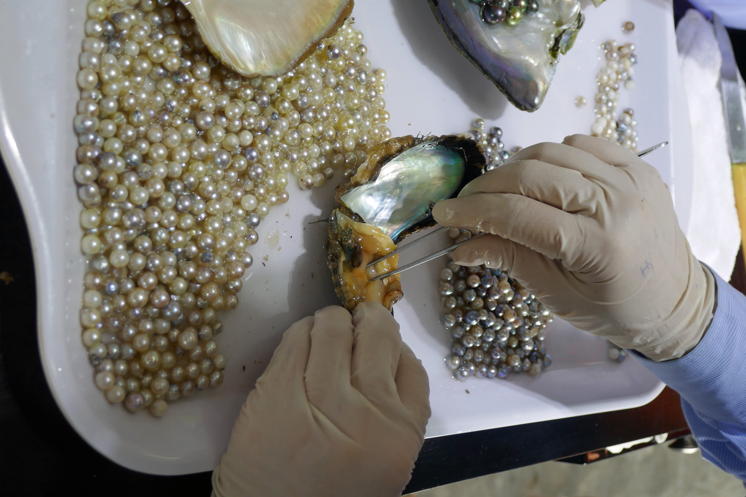 pearls pearls
